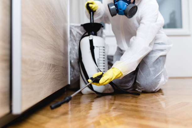 Best Termite Control Services  in Kensington Park, FL