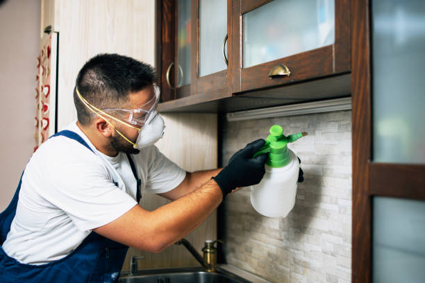 Best Cockroach Control Services  in Kensington Park, FL