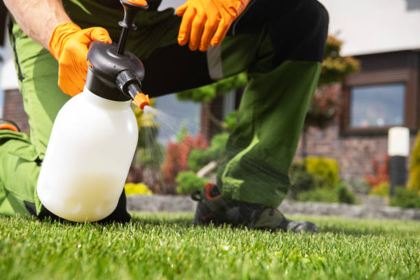 Best Commercial Pest Control Services  in Kensington Park, FL