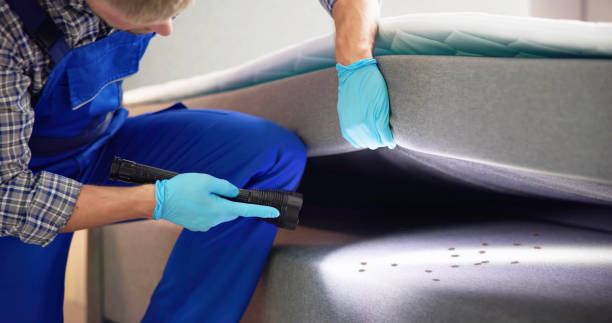 Flea Control Services in Kensington Park, FL