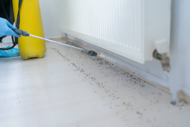 Best Pest Control Near Me in Kensington Park, FL