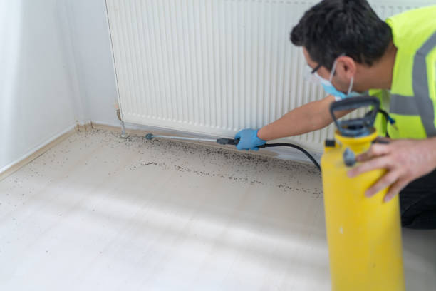 Best Rat Extermination Near Me  in Kensington Park, FL