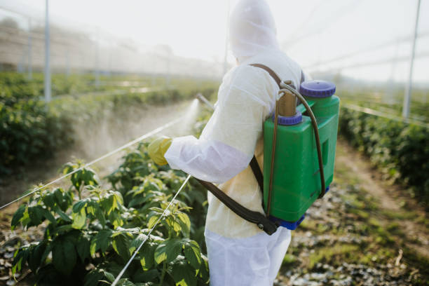Best Ant Control Services  in Kensington Park, FL